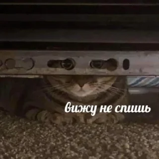 🙄