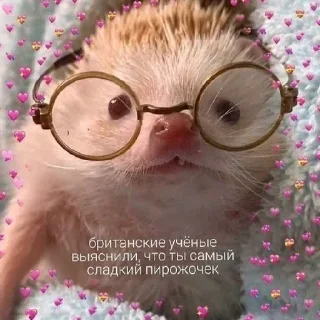 ❤️