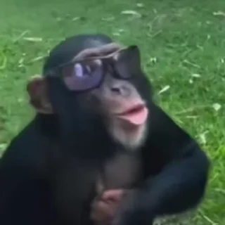 😎