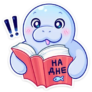📖