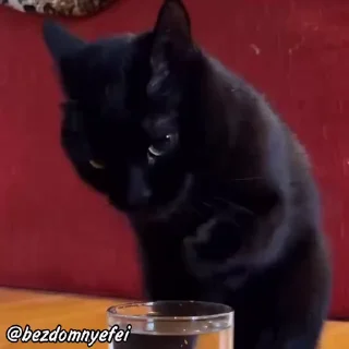 👅