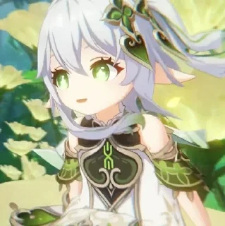 🌟