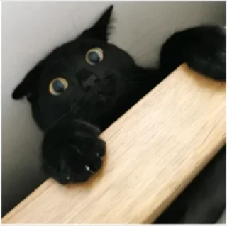😑