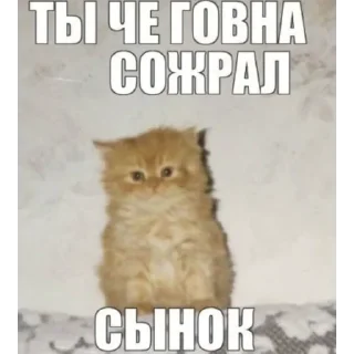 😠