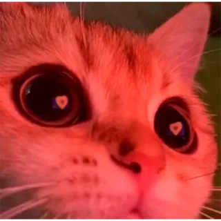 😍