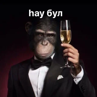 😇