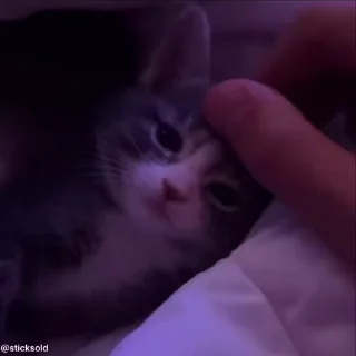 😭