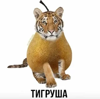 😀