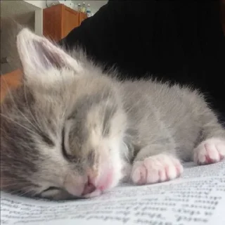 😴