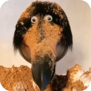 🦅СКЕБОБ | SKEBOB 🦅