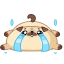 😭