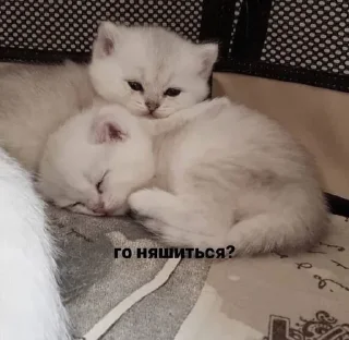 🥰