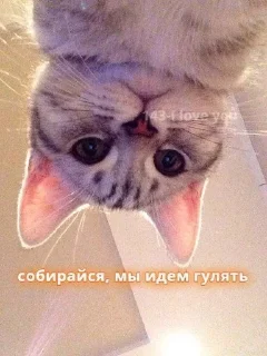 😊