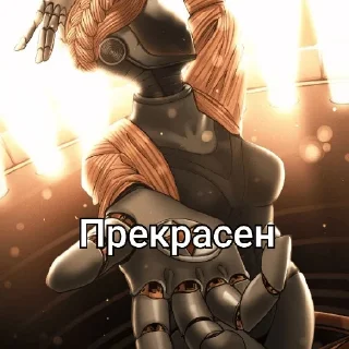 ✨