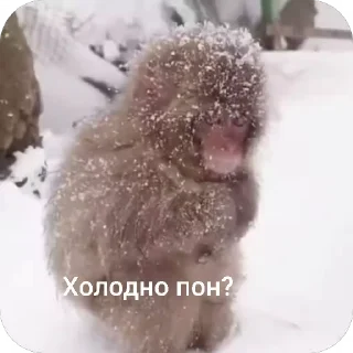 🥶