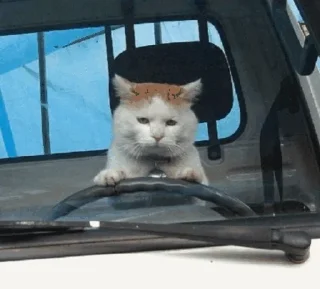 🚗