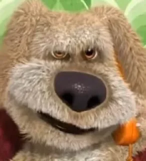 🐶