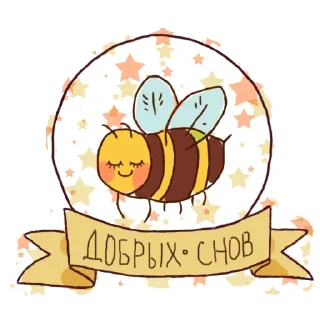 ⭐️