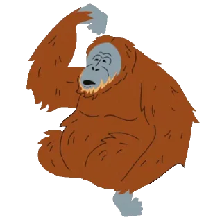 🦍