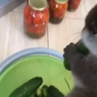 🥒