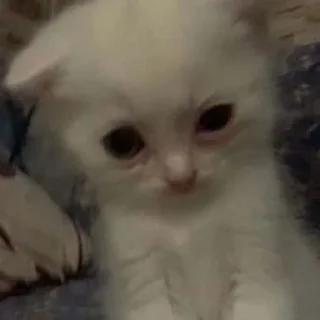 🧐