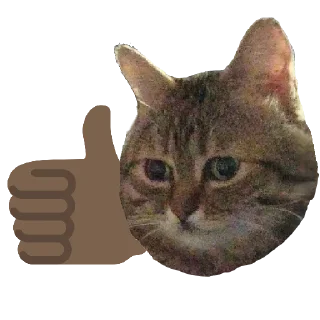 👍
