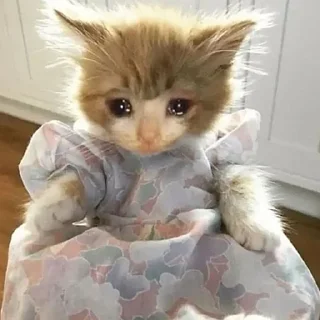 😰