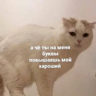 😤