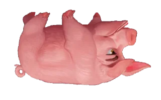 🐖