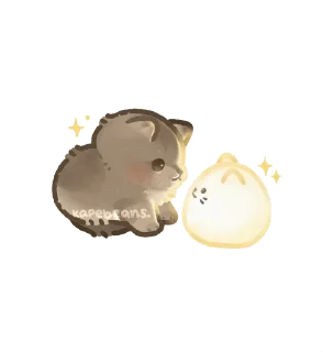🌟