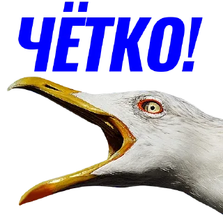 🆗