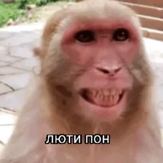 💫