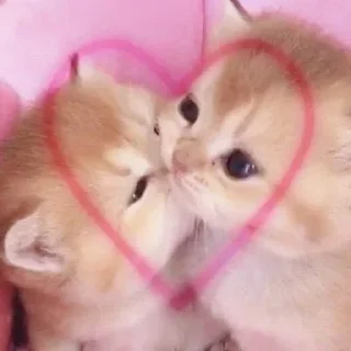 ❤️