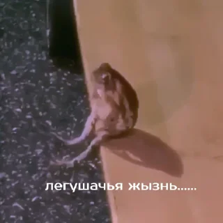 😕