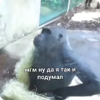 👌