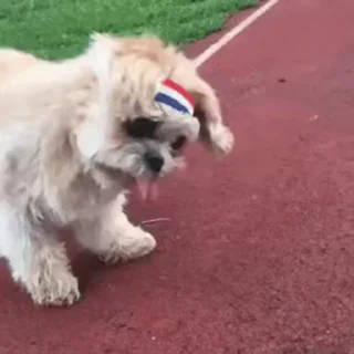 😋