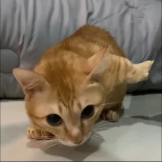 😨