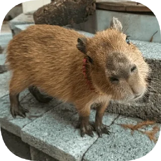 🙂