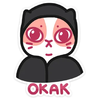 🐱