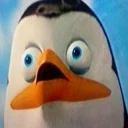 🐧
