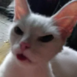 😡