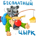 🎪