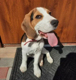 😛
