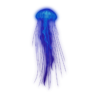 💙