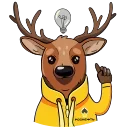 💡
