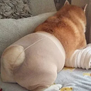 🍑