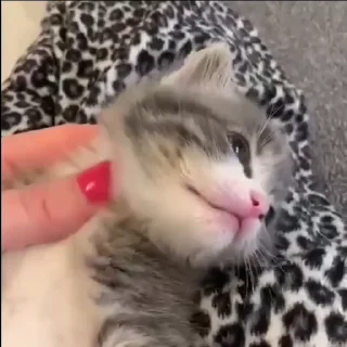 🥰