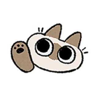 😺