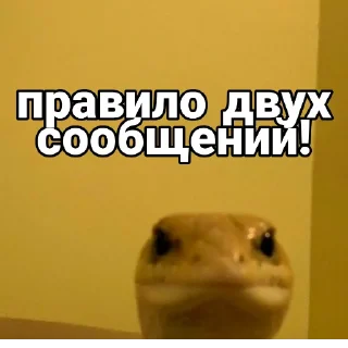 😡