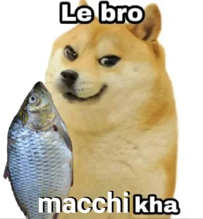 🐟